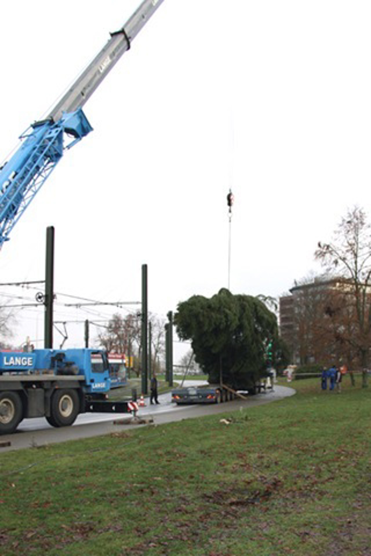 Weihnachtsbaum vorm Kröpeliner Tor in Rostock