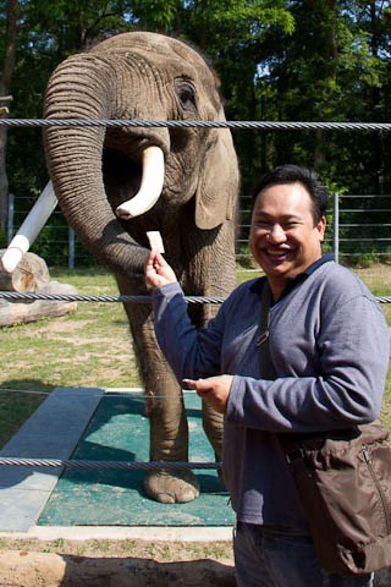 Sonst arbeitet Ronny auf der Crystal Serenity, heute im Zoo Rostock