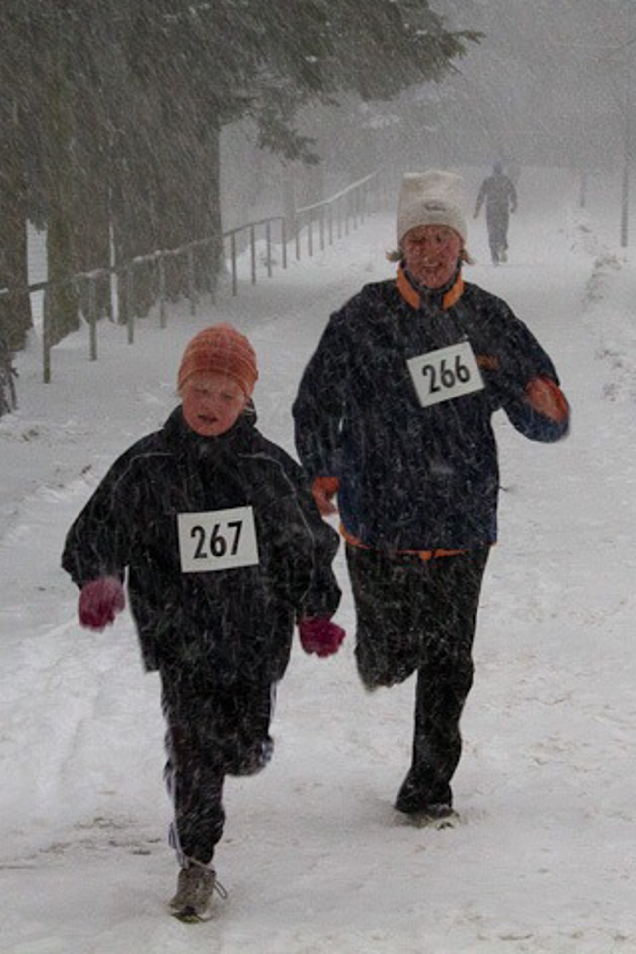 Nikolauslauf 2012