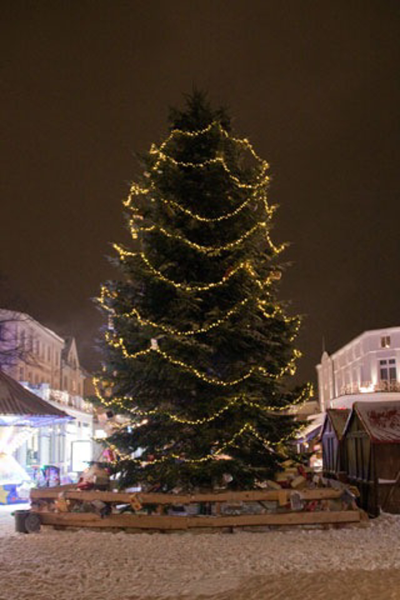 12 m hoher Weihnachtsbaum am Kirchplatz in Warnemünde