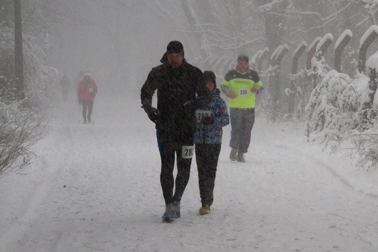 Nikolauslauf 2012