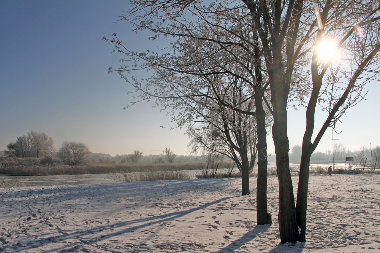 Warnow-Winterlandschaft im Petripark