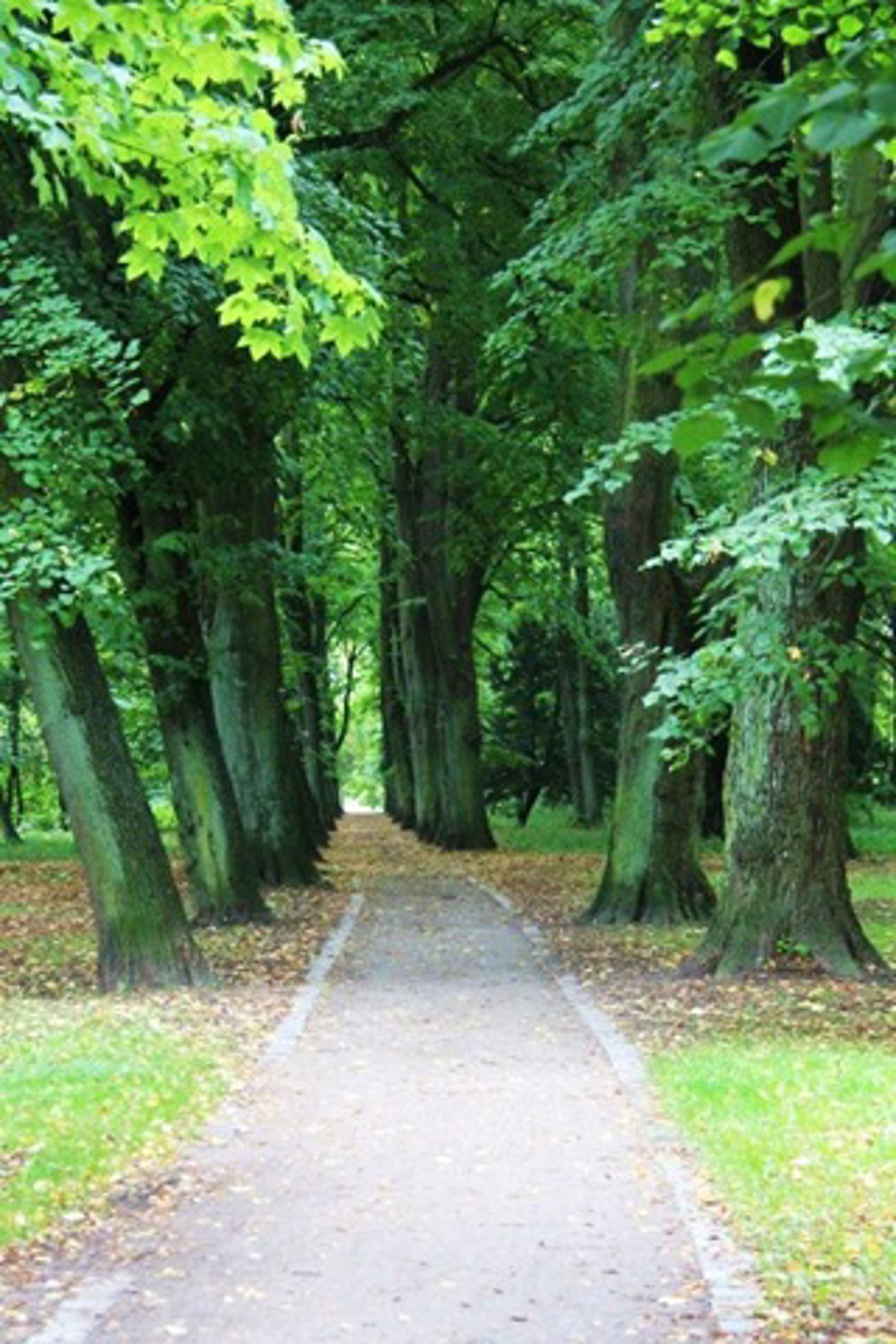 Rostocker Lindenpark