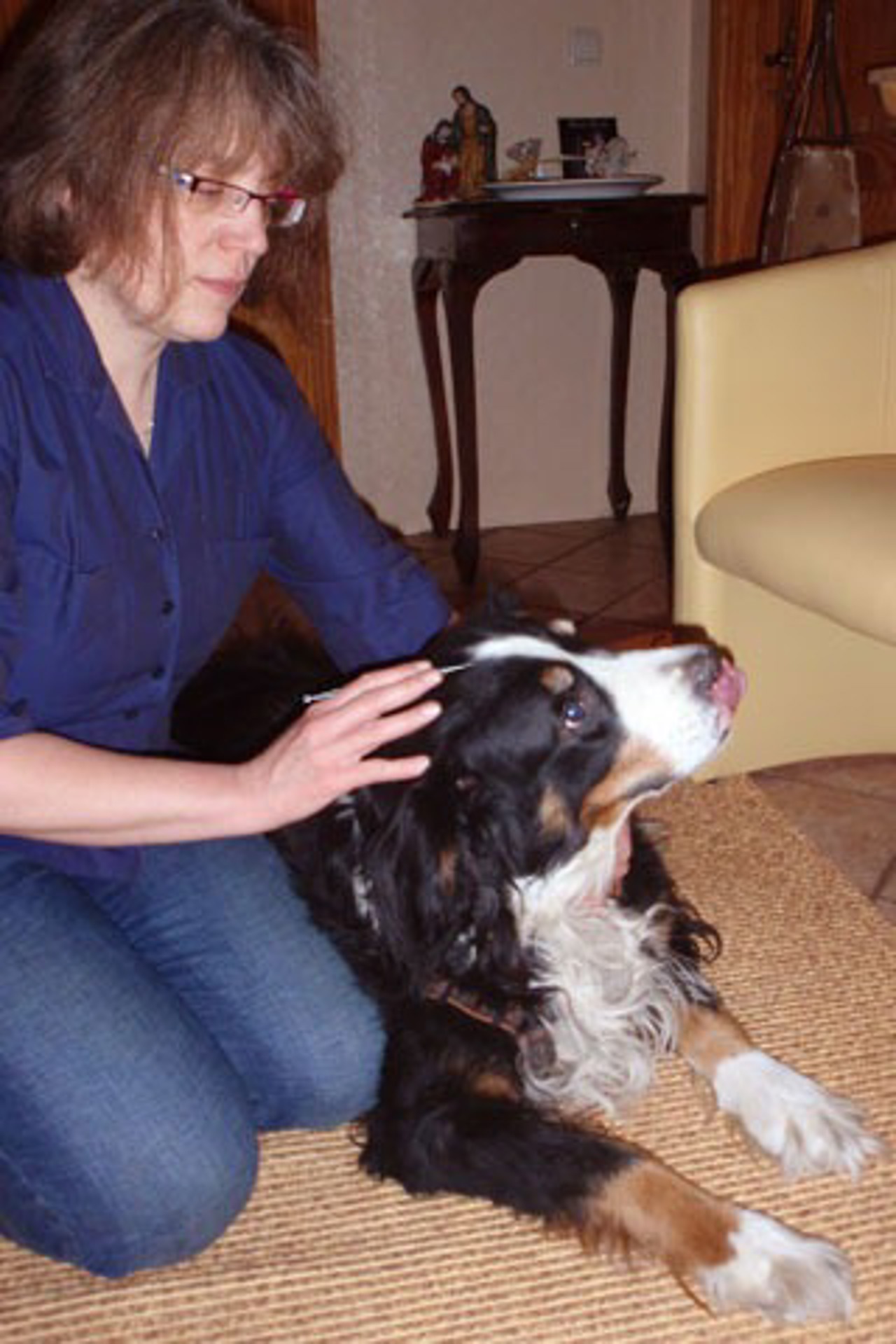 Martina Geisler massiert einen Hund (Foto privat)