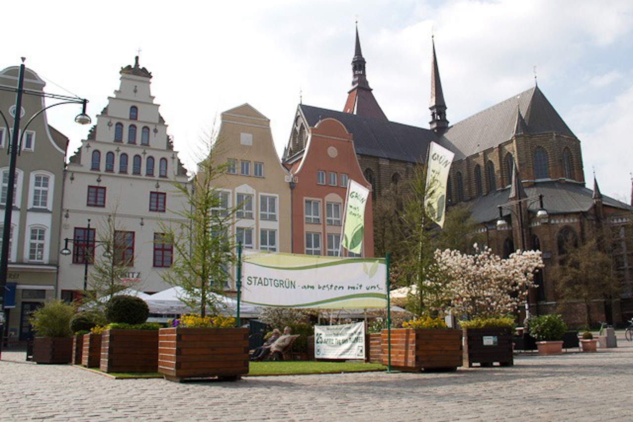 Der Neue Markt gestern am Tag des Baumes