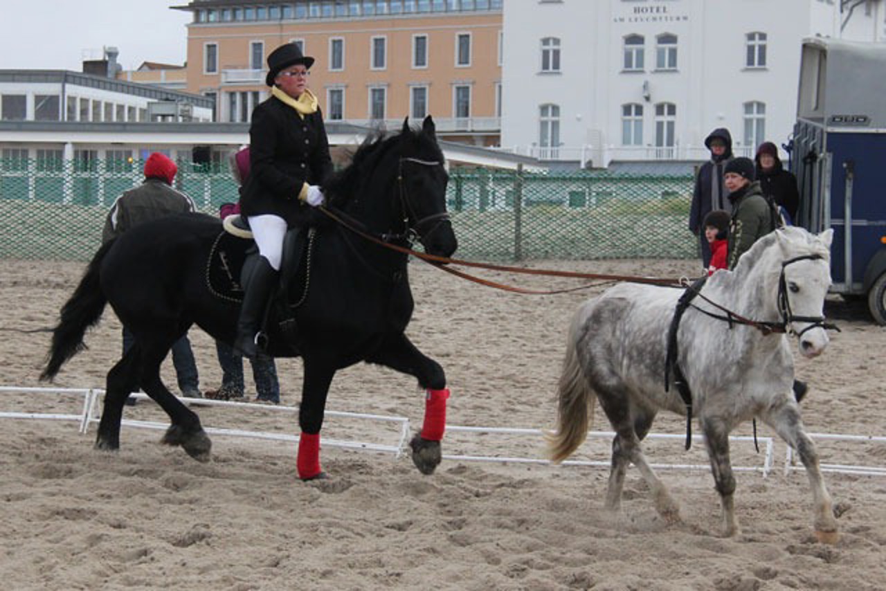 Ich lenke das Pony vom Großen aus...