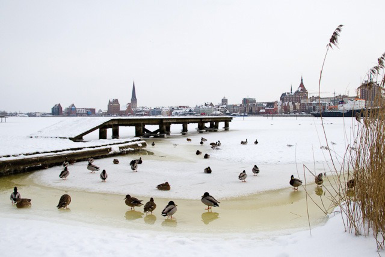 Wenn man nicht gerade ein Wasservogel ist, sollte man die Eisflächen nicht betreten