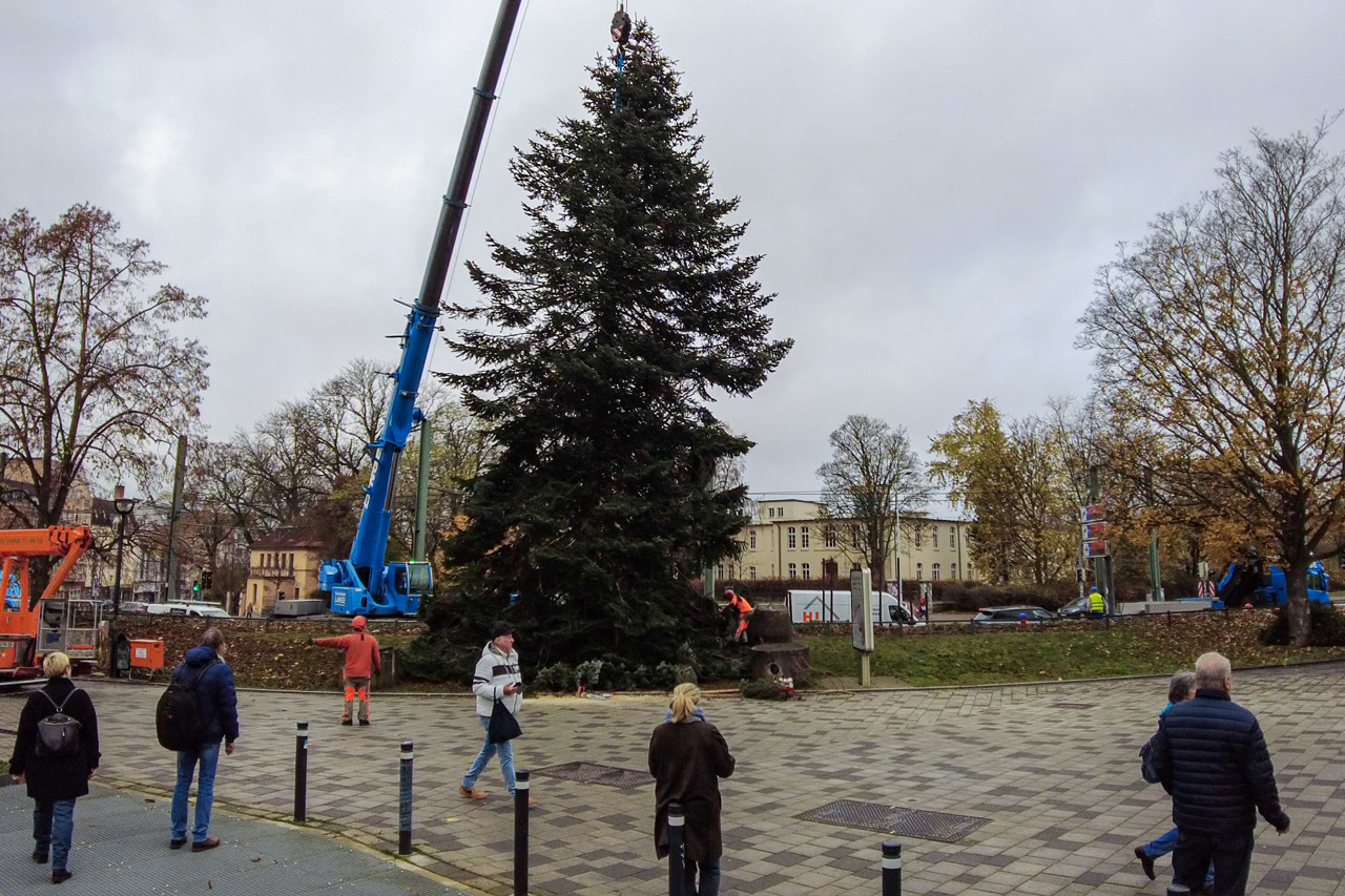 Weihnachtsbaum ohne Weihnachtsmarkt