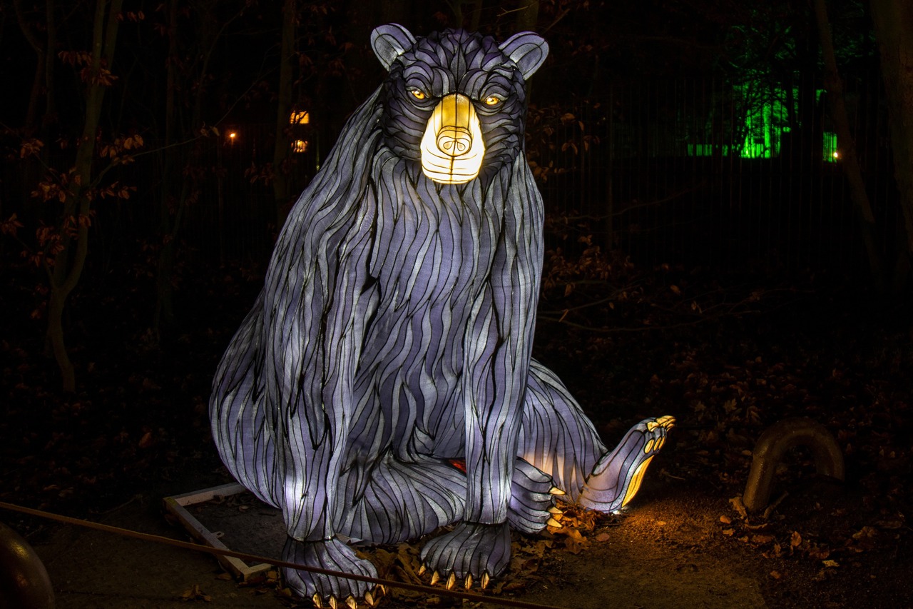 Zoolights in Rostock: Meister Petz sitzt unweit der früheren Bärenburg