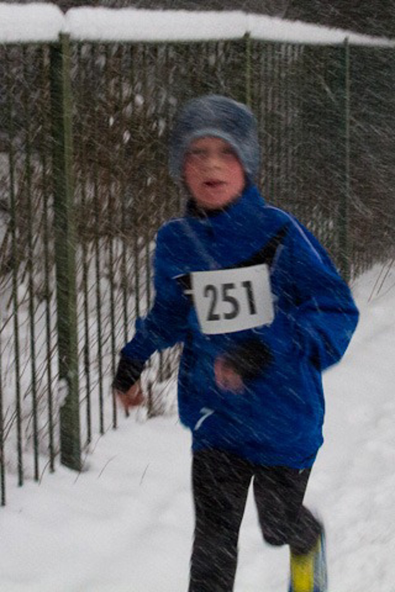 Nikolauslauf 2012