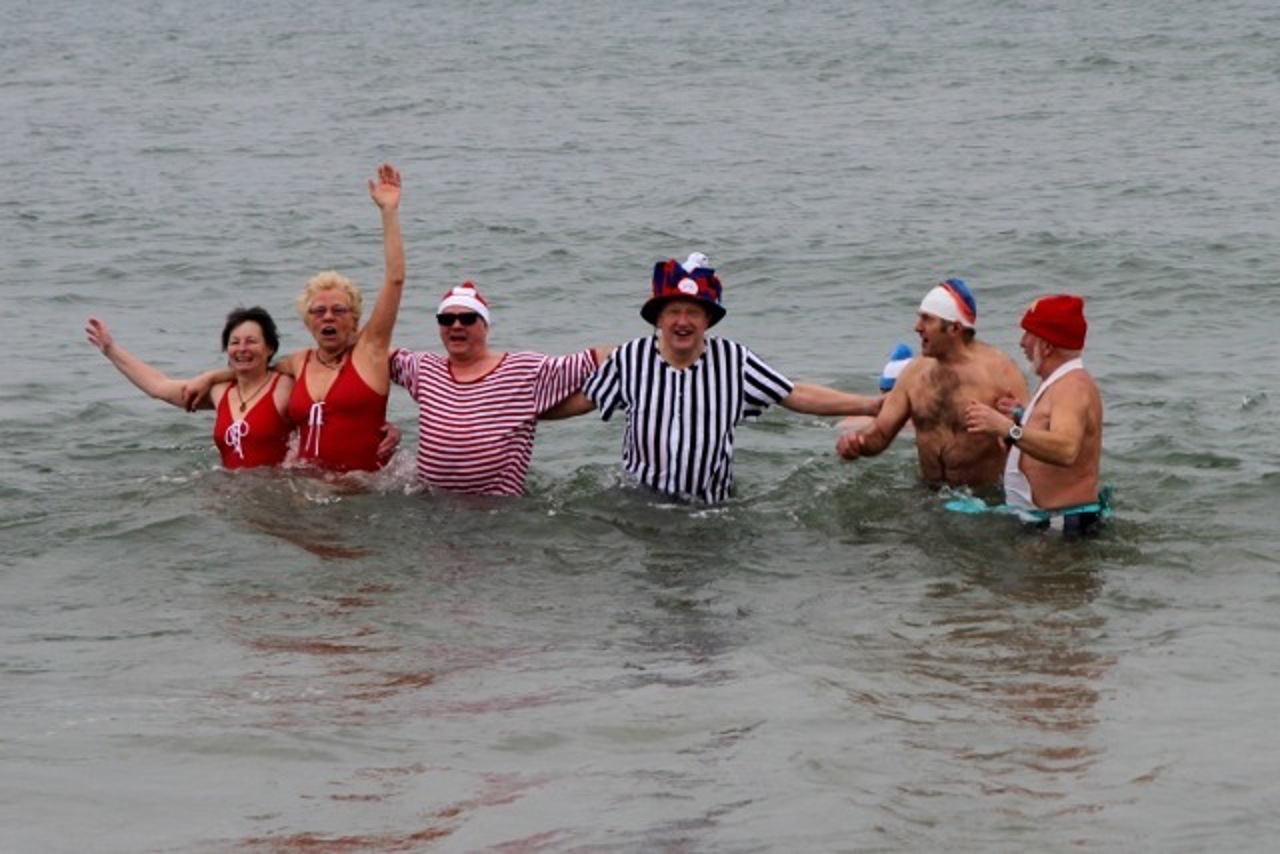 Rostocker Seehunde beim Eisbaden in der Ostsee