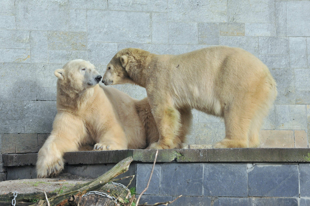 Zwei, die sich gut verstehen, Vilma und Lars, die Eltern von Fiete. Sie sehen sich bald wieder. (Foto: Joachim Kloock)
