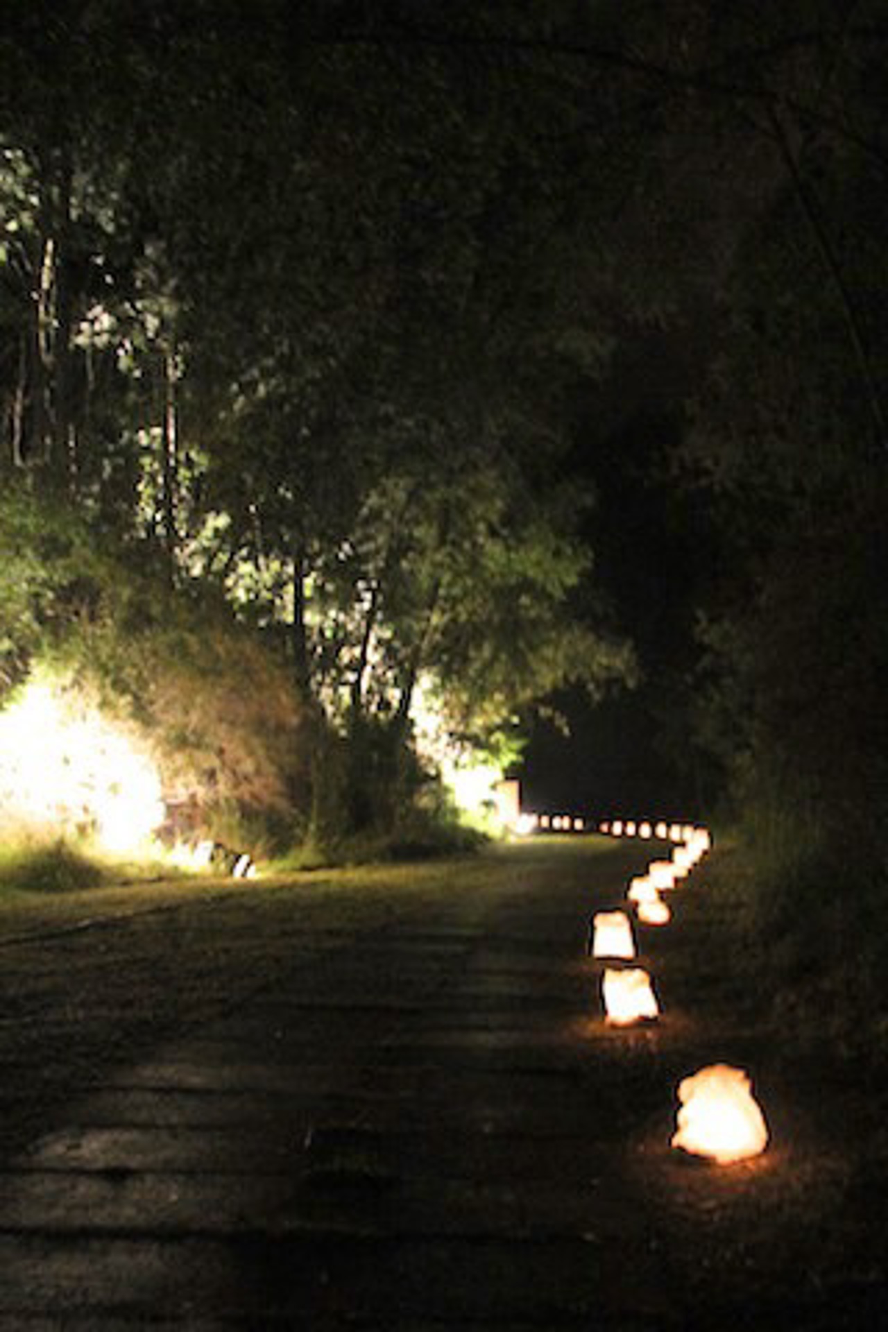 8. LichtKlangNacht 2014