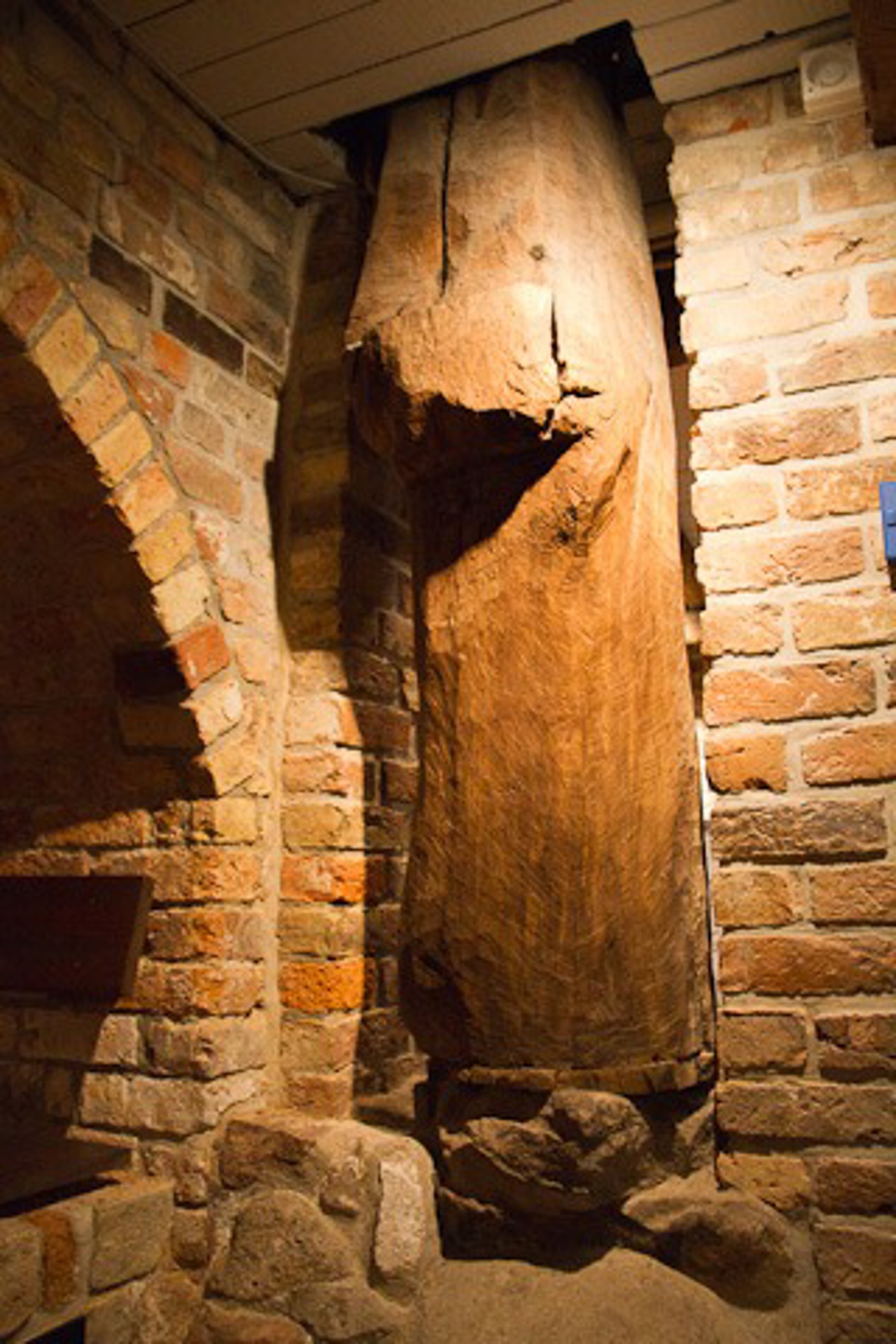 Holz im Keller: Der Hausbaum des Hausbaumhauses in der Wokrenterstraße steht auf einem Granitfindling im Keller