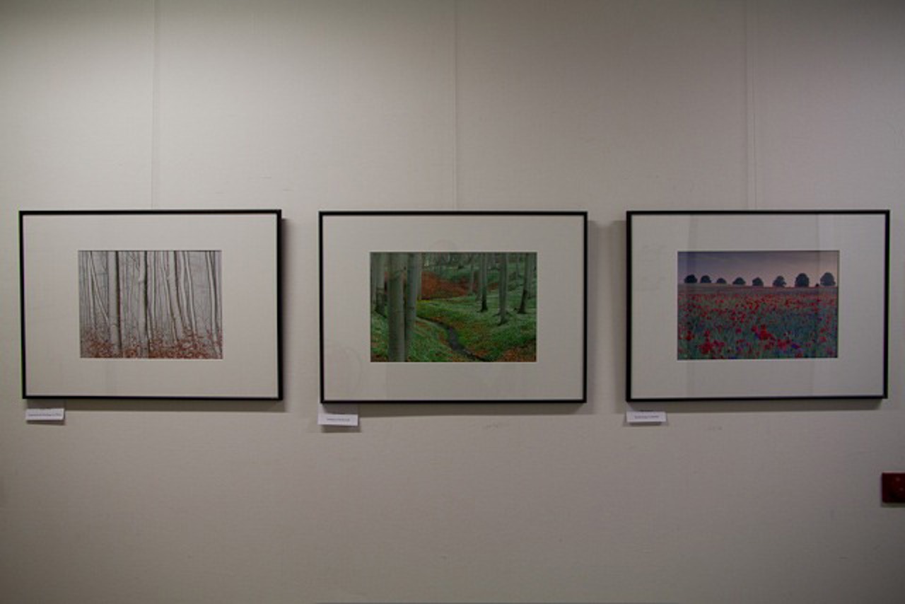 "Natur-Momentaufnahmen" Ausstellung im StALU MM