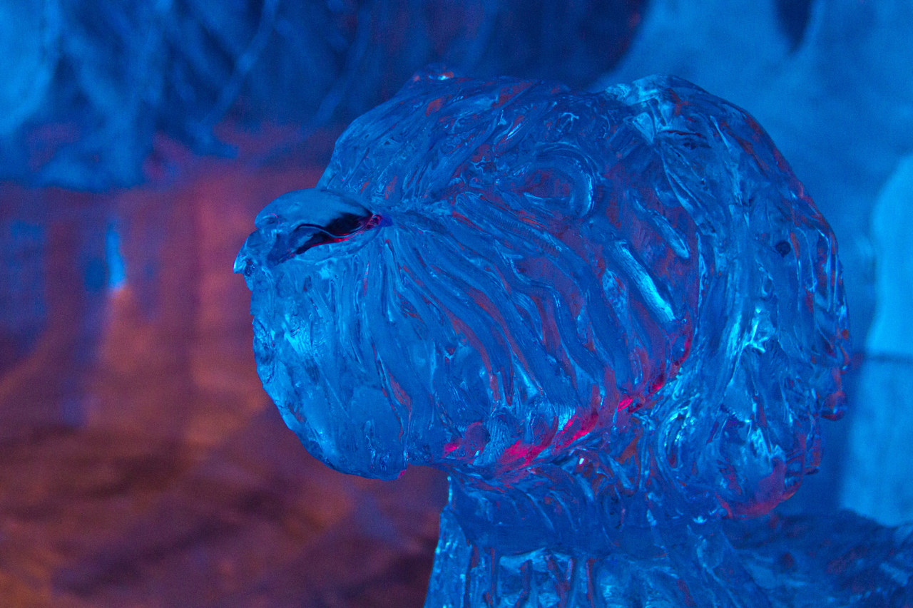 Der Eishund Rüpel taucht gleich mehrmals in Karls Eiswelt auf.