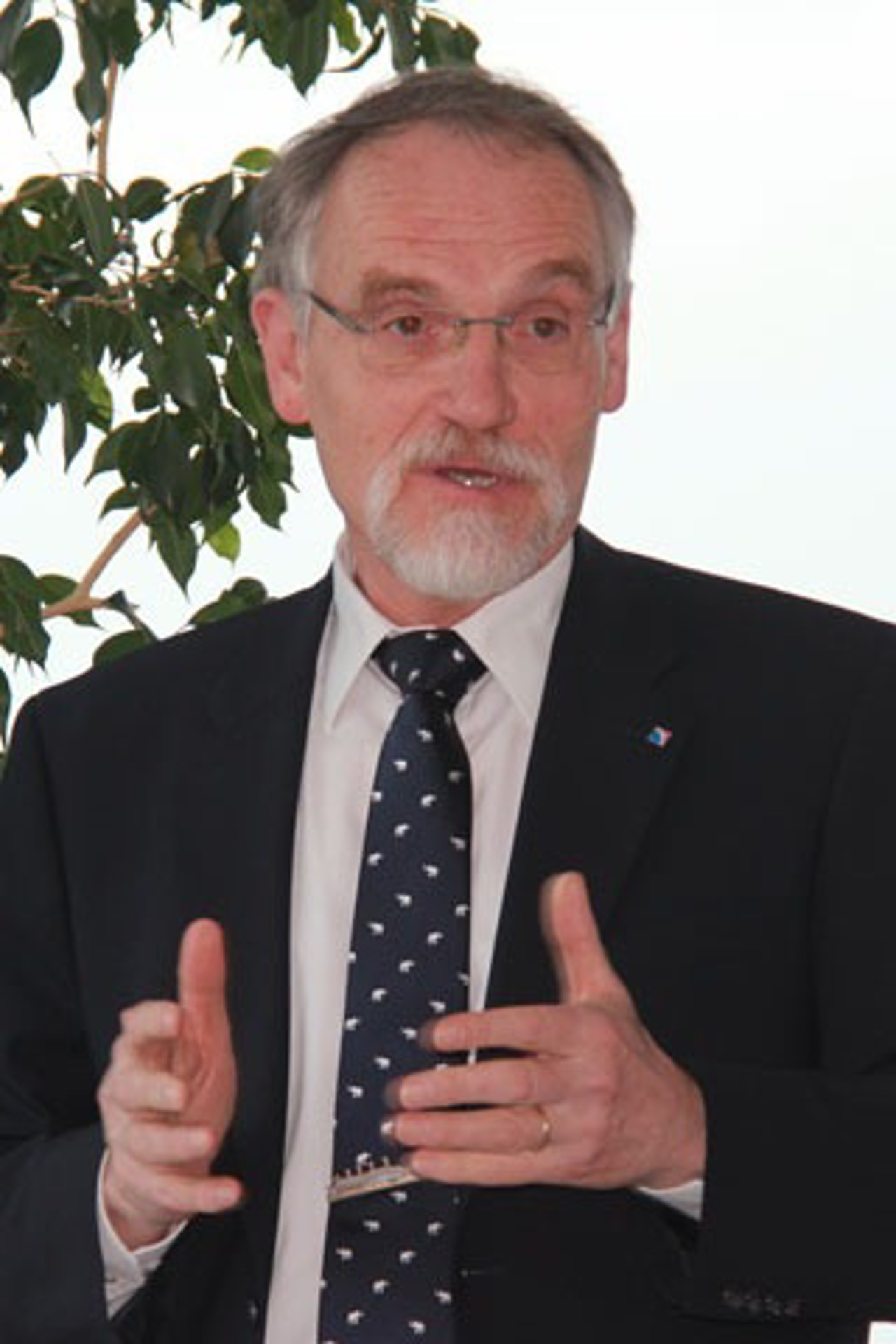 Ulrich Bauermeister (Archiv)
