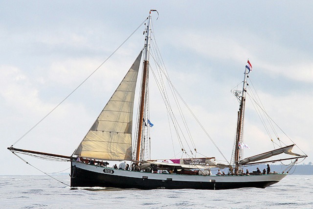 Heringslogger Tecla