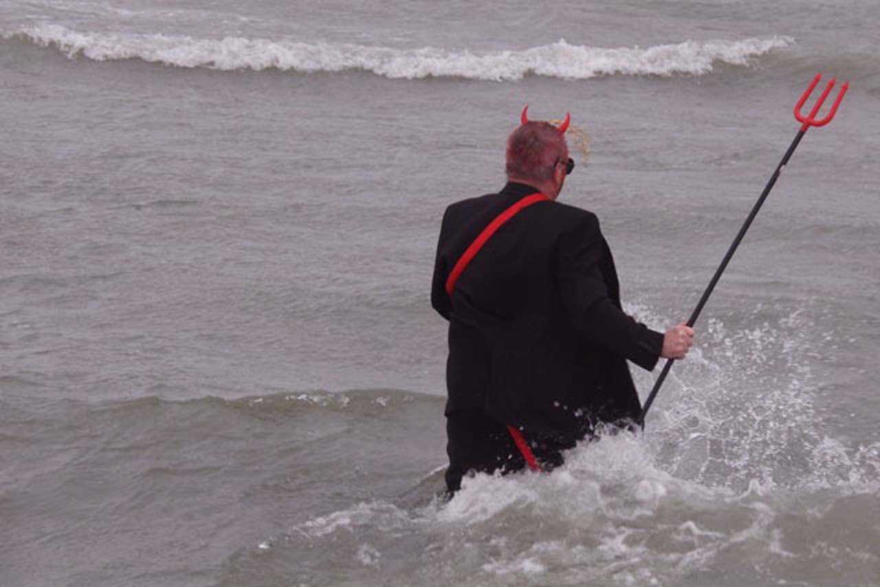 Rostocker Seehunde in Aktion