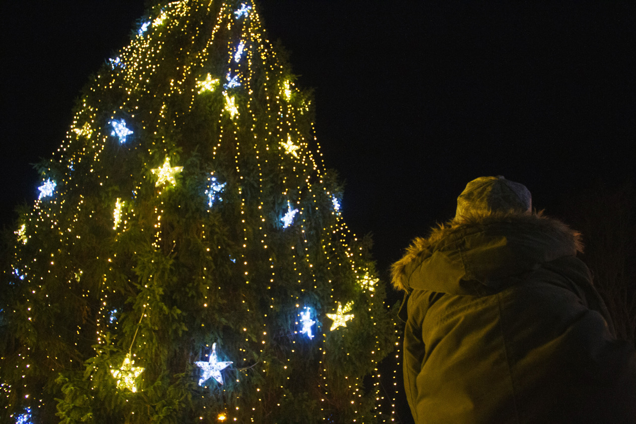 Zum Schluss wurde der große Weihnachtsbaum am Kröpeliner Tor erleuchtet