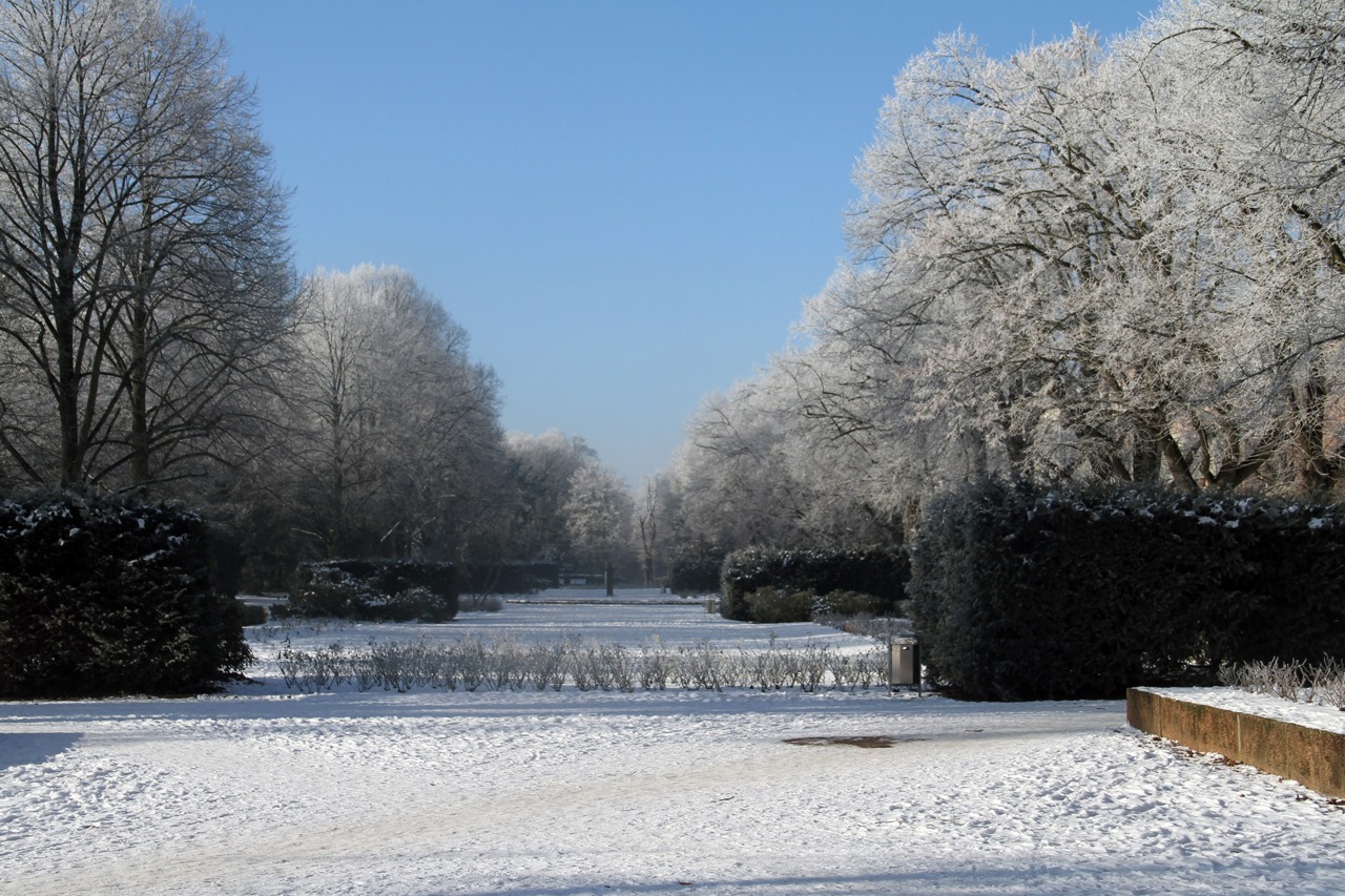 Rostocker Rosengarten im Winter