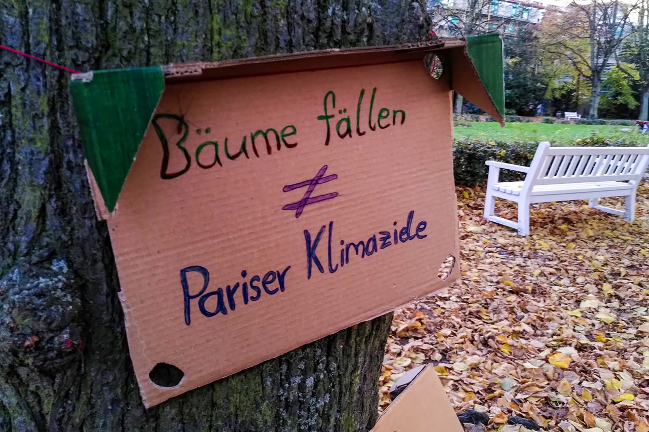 Stiller Protest gegen die geplanten Baumfällungen im Rosengarten Rostock