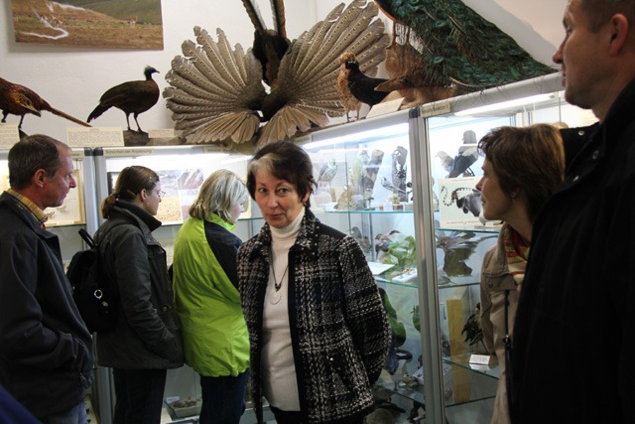 Schönheit und Artenvielfalt im Tierreich in der Zoologischen Sammlung der Universität