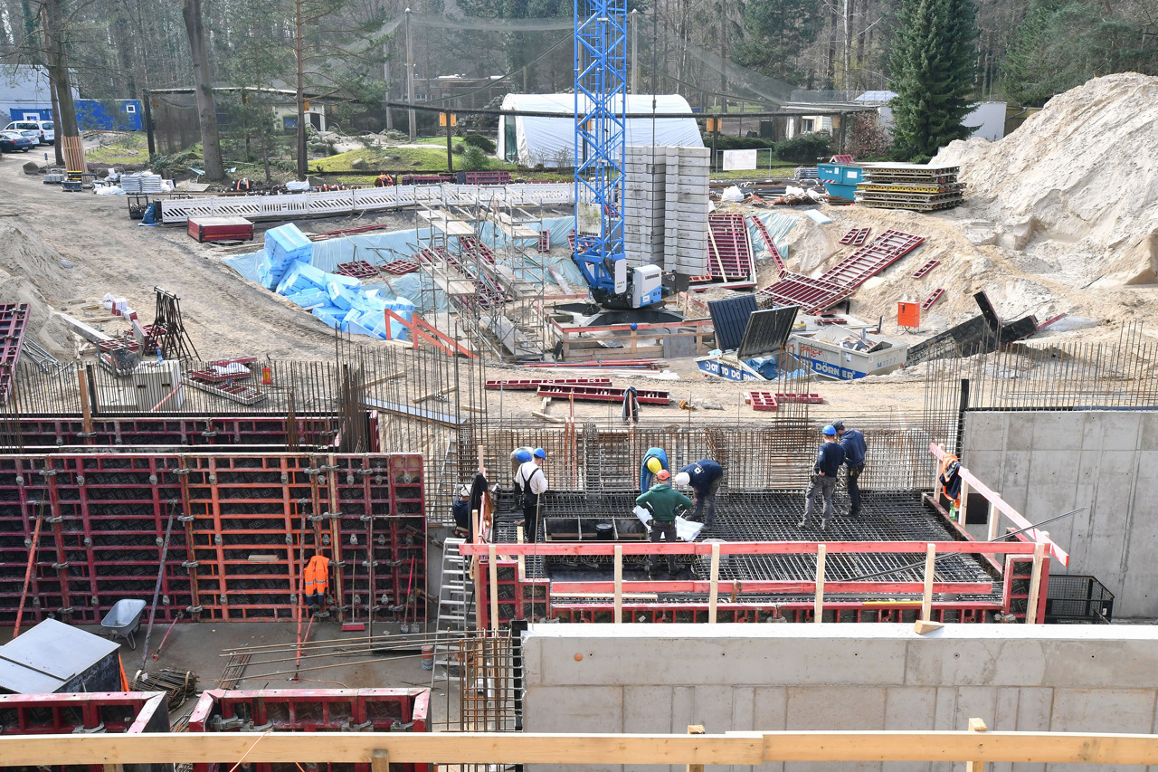 Viel los auf der Baustelle an der Robbenanlage – der Baufortschritt ist nun deutlich zu sehen. (Foto: Zoo Rostock/Joachim Kloock)