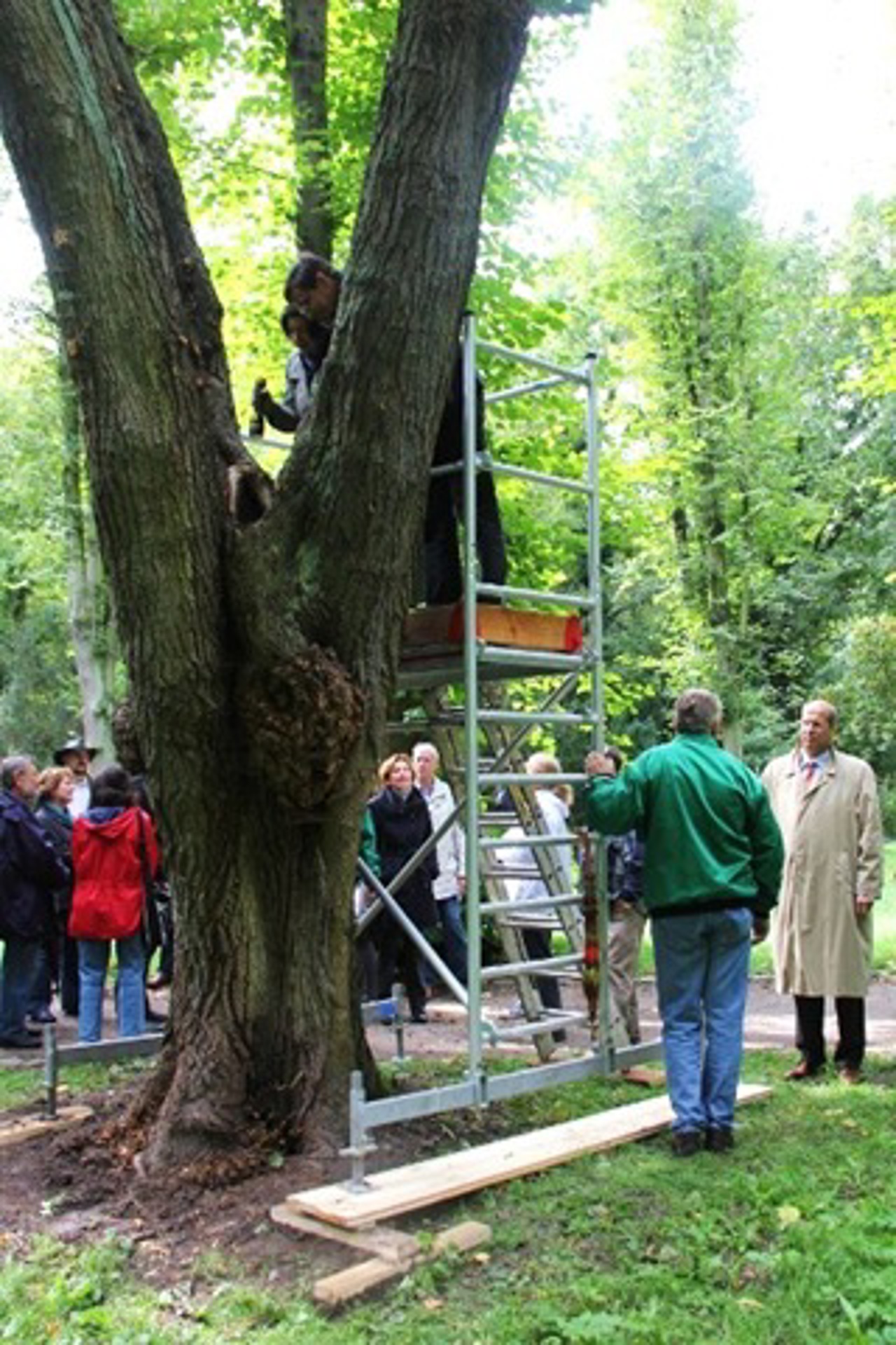 Grünflächenbereisung im Lindenpark