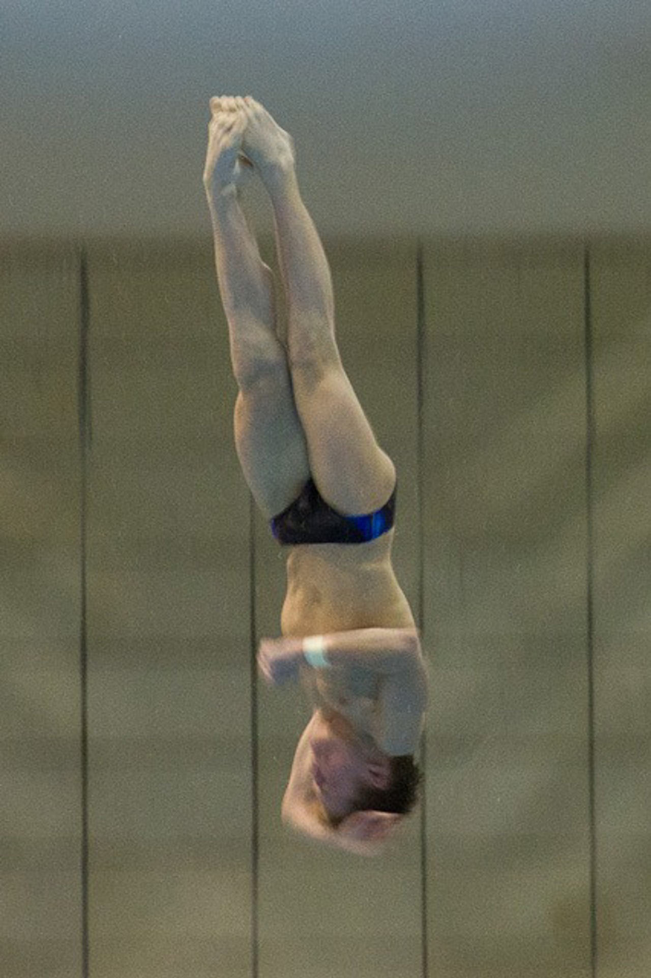 Diver