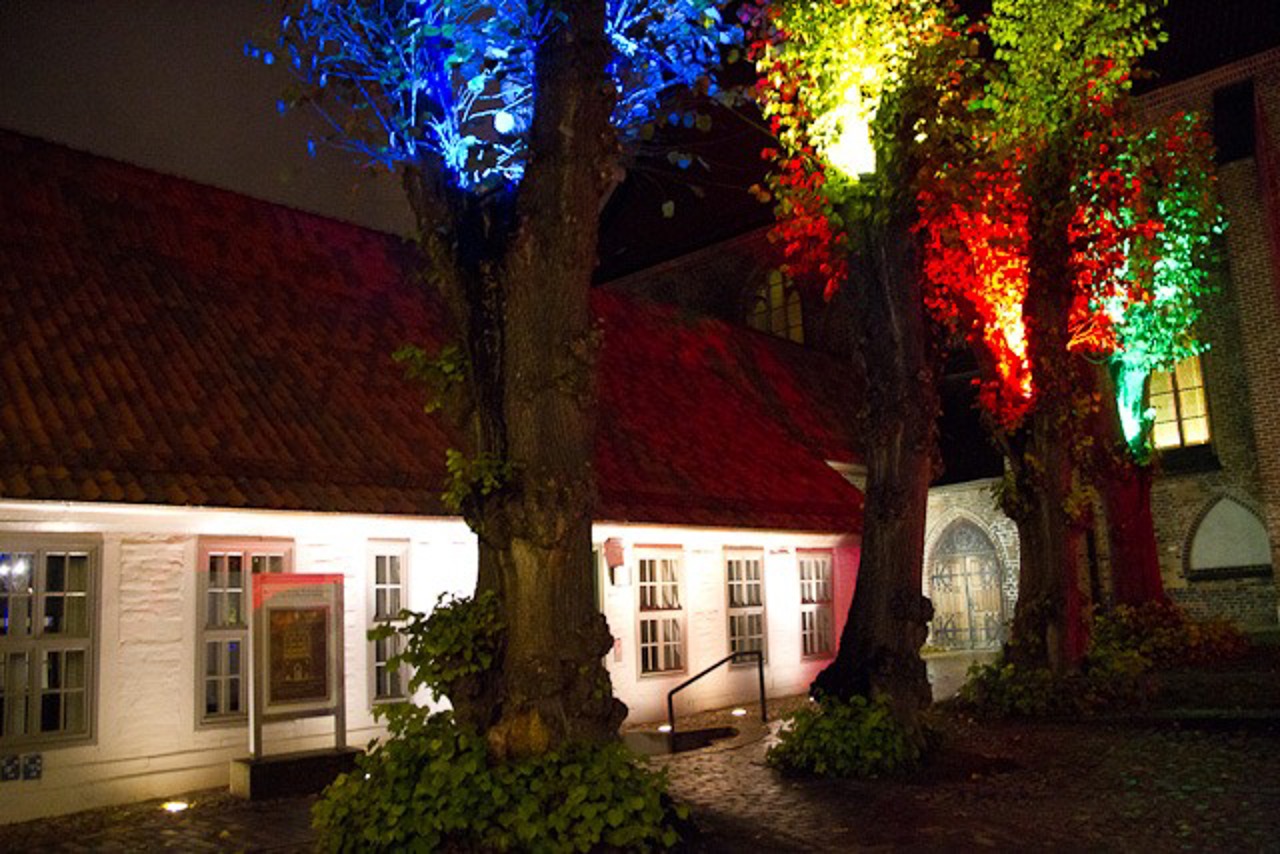 Illuminiertes Kloster zur Rostocker Lichtwoche