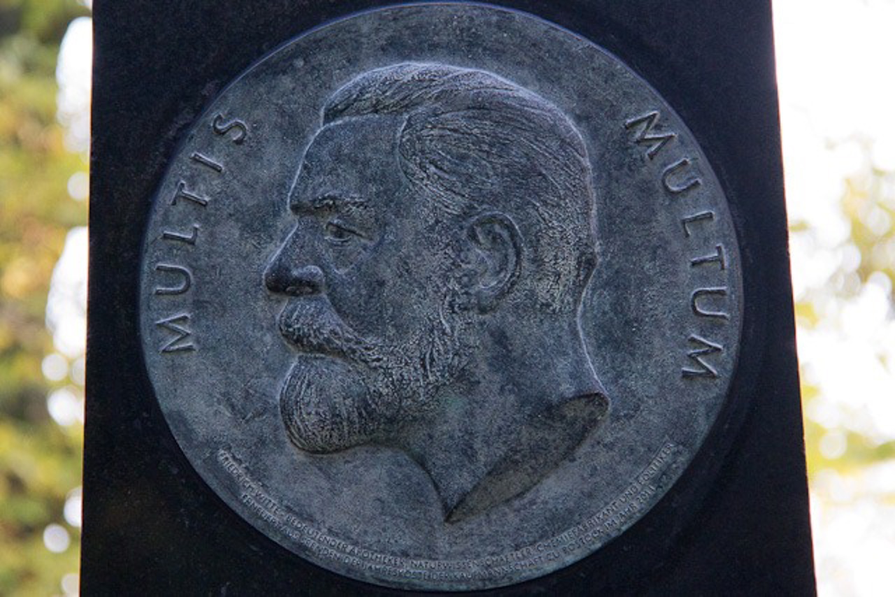 Friedrich Witte auf dem Medaillon des Rostocker Bildhauers Wolgang Friedrich
