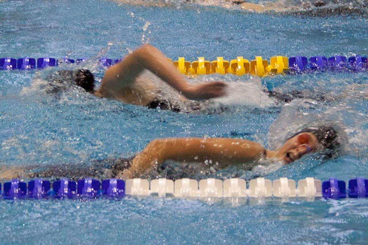 55. Internationales Neptunschwimmfest