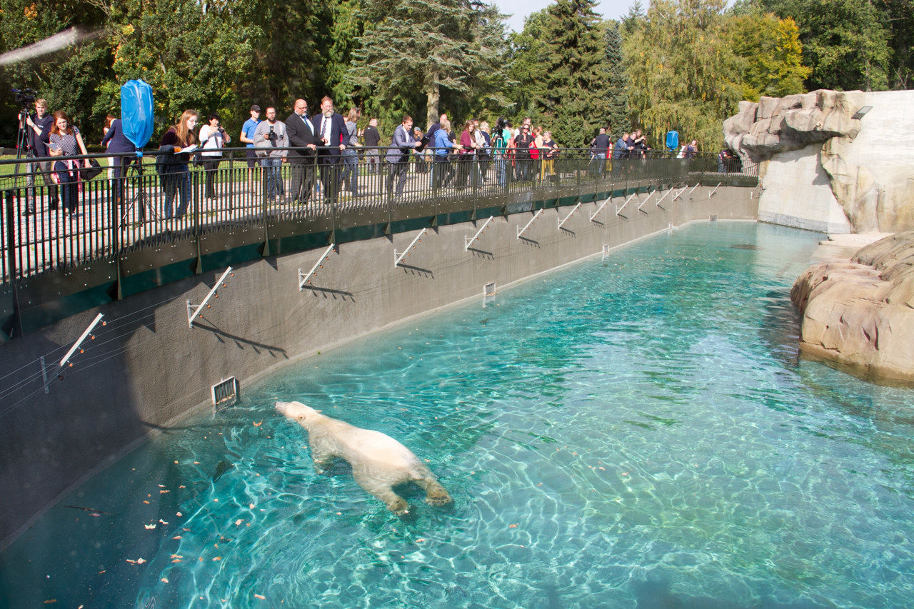 Die ersten Besucher im neuen Polarium im Zoo Rostock