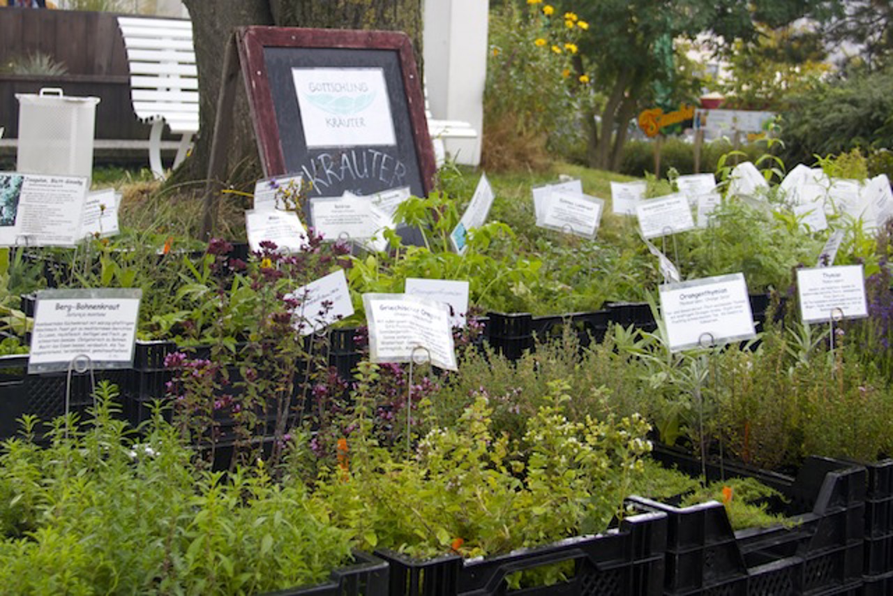 Gottschlings Kräutergarten auf dem Bio-Erleben-Markt in Warnemünde