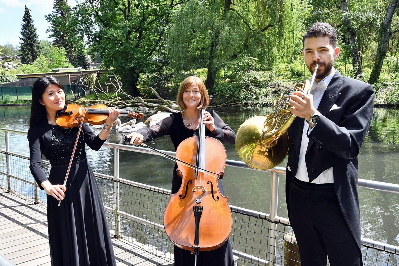 Die Musiker Hui-Tzu Lee (v.li.), Kristina Hübner und José António de Abreu von der Norddeutschen Philharmonie stimmten auf die Klassik-Nacht ein. (Foto: Zoo Rostock/Joachim Kloock)
