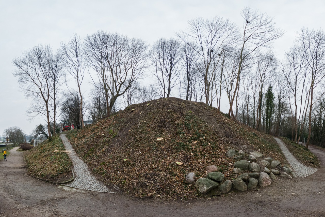 Fünf Bäume mit Nestern stehen an der Dreiwallbastion noch - die Hälfte der Saatkrähenkolonie-Brutstätten soll bei den Fällarbeiten beseitigt worden sein