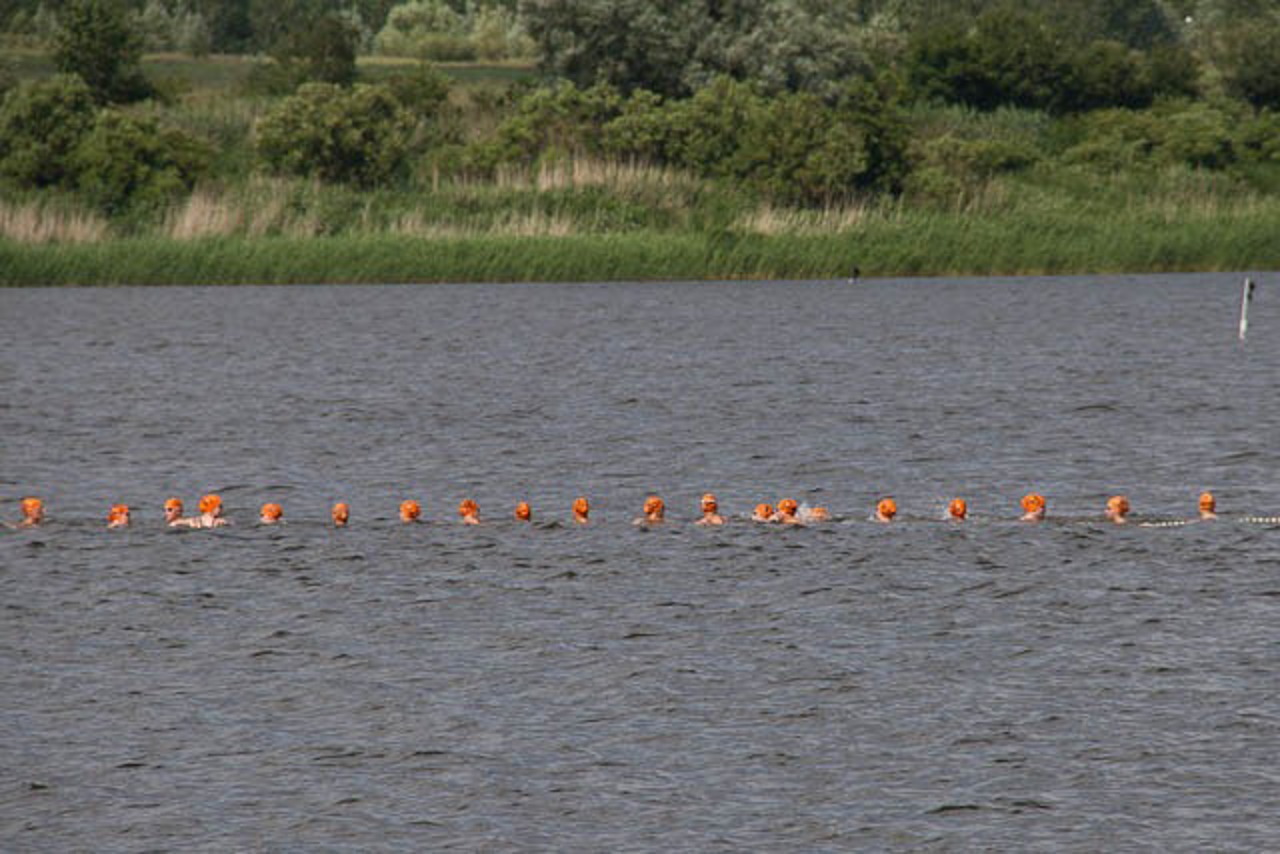 Freischwimmen Start der Damen