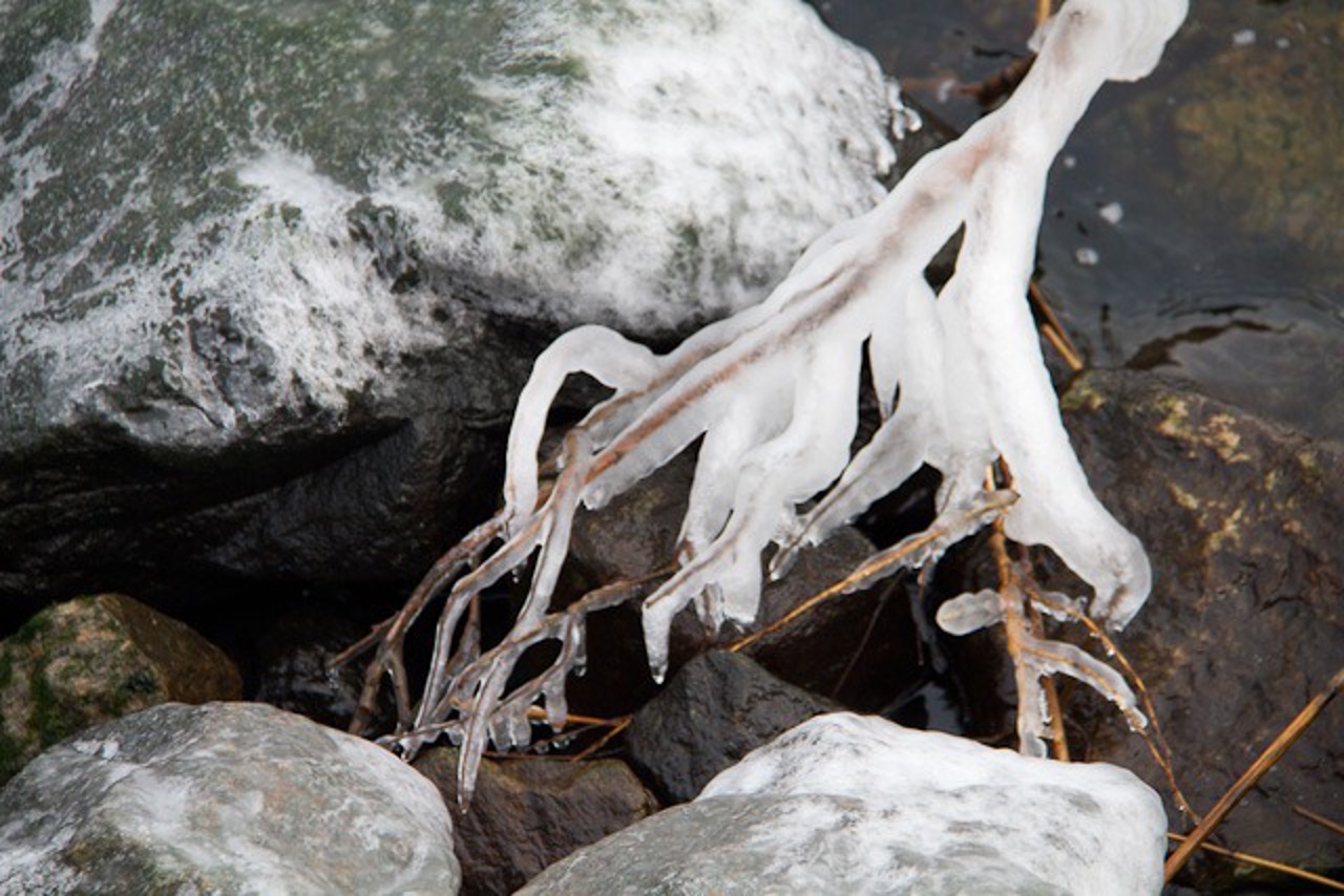 Frost in Warnemünde