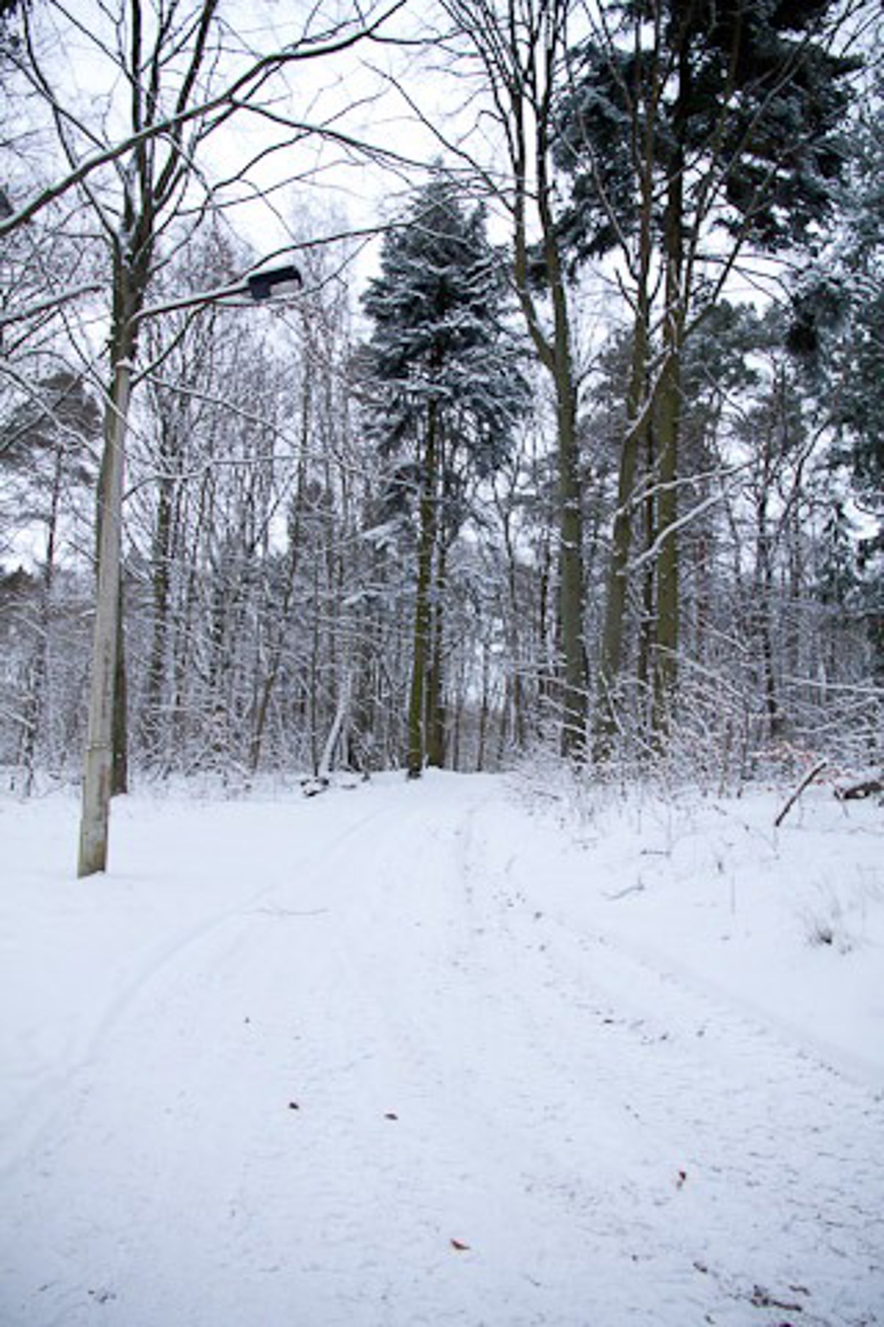 Der Weg des Anstoßes