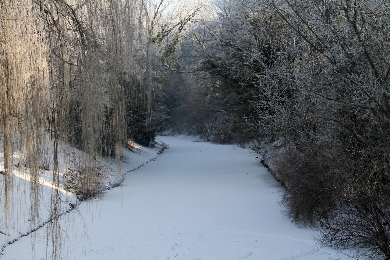 Winter in den Rostocker Wallanlagen