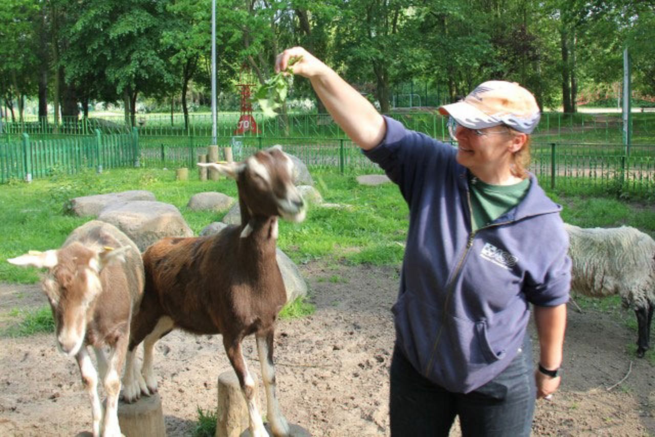 Steffie Fust, IN NATURA
