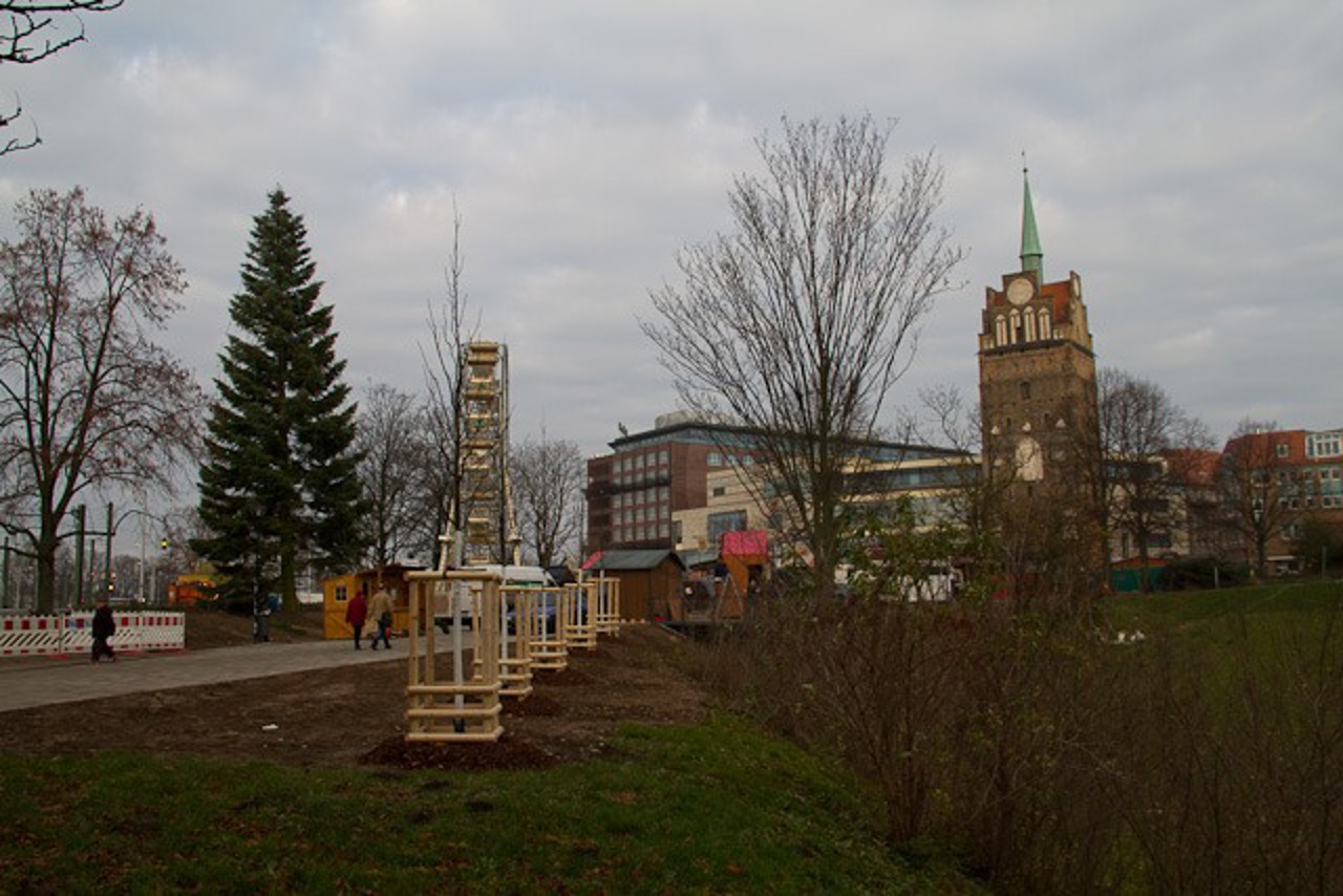 Neue Bäume am Kröpeliner-Tor-Vorplatz