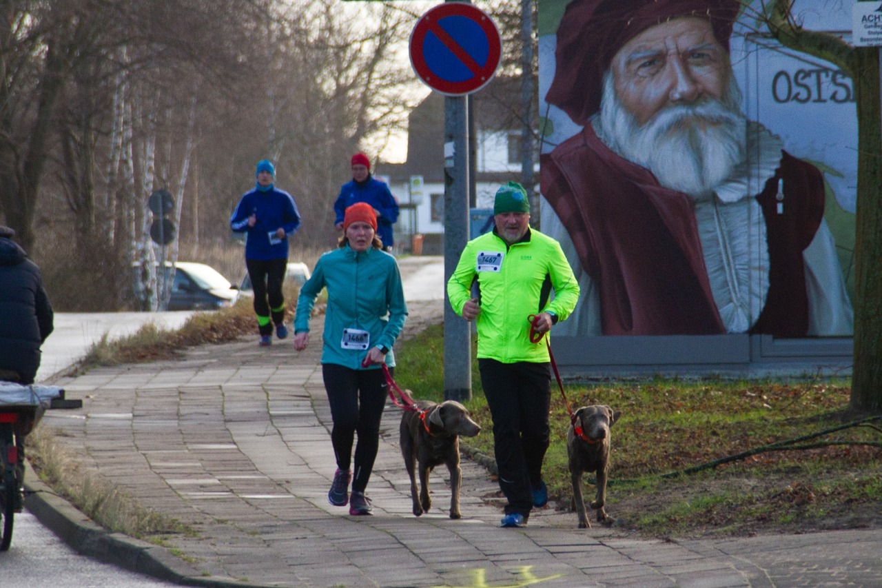 Hunde liefen auch mit
