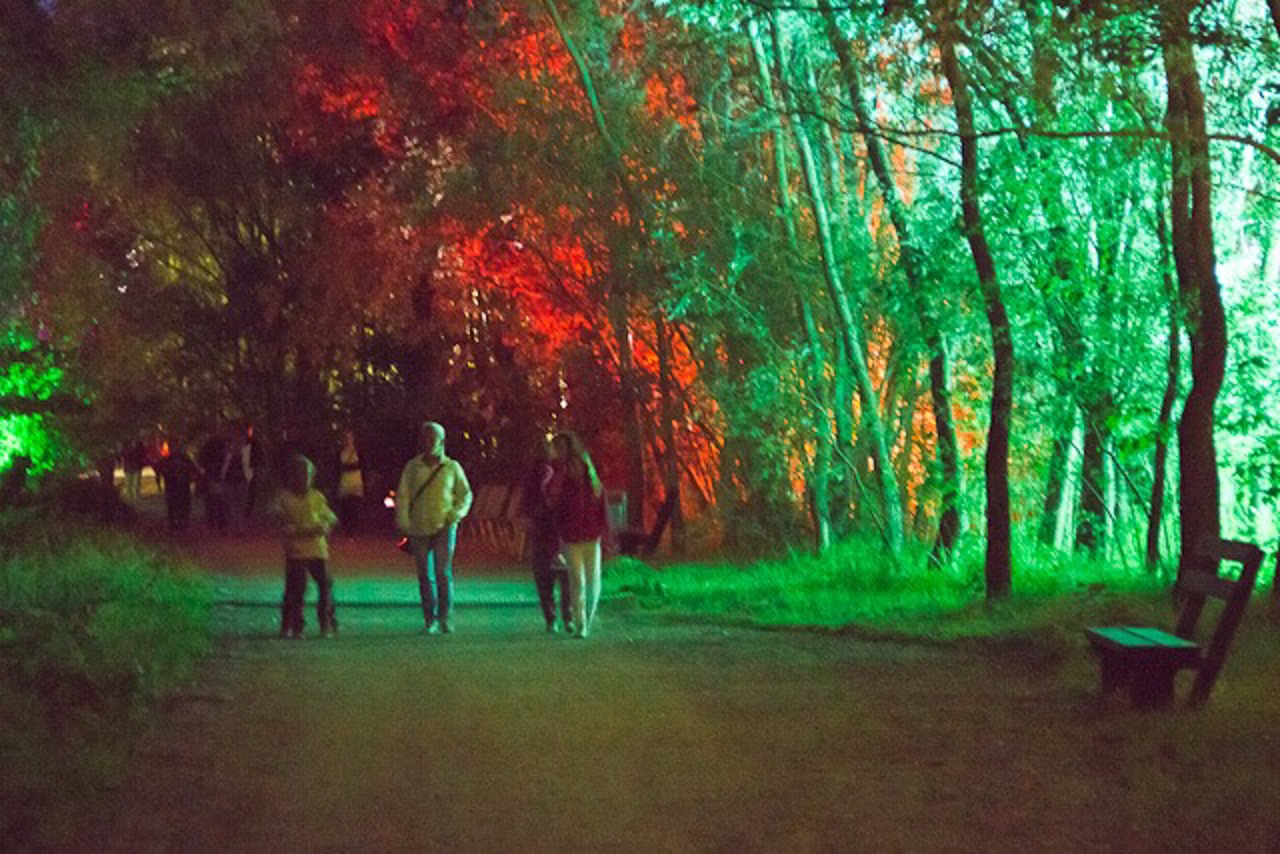 Wandeln im IGA-Park in der Lichtklangnacht.