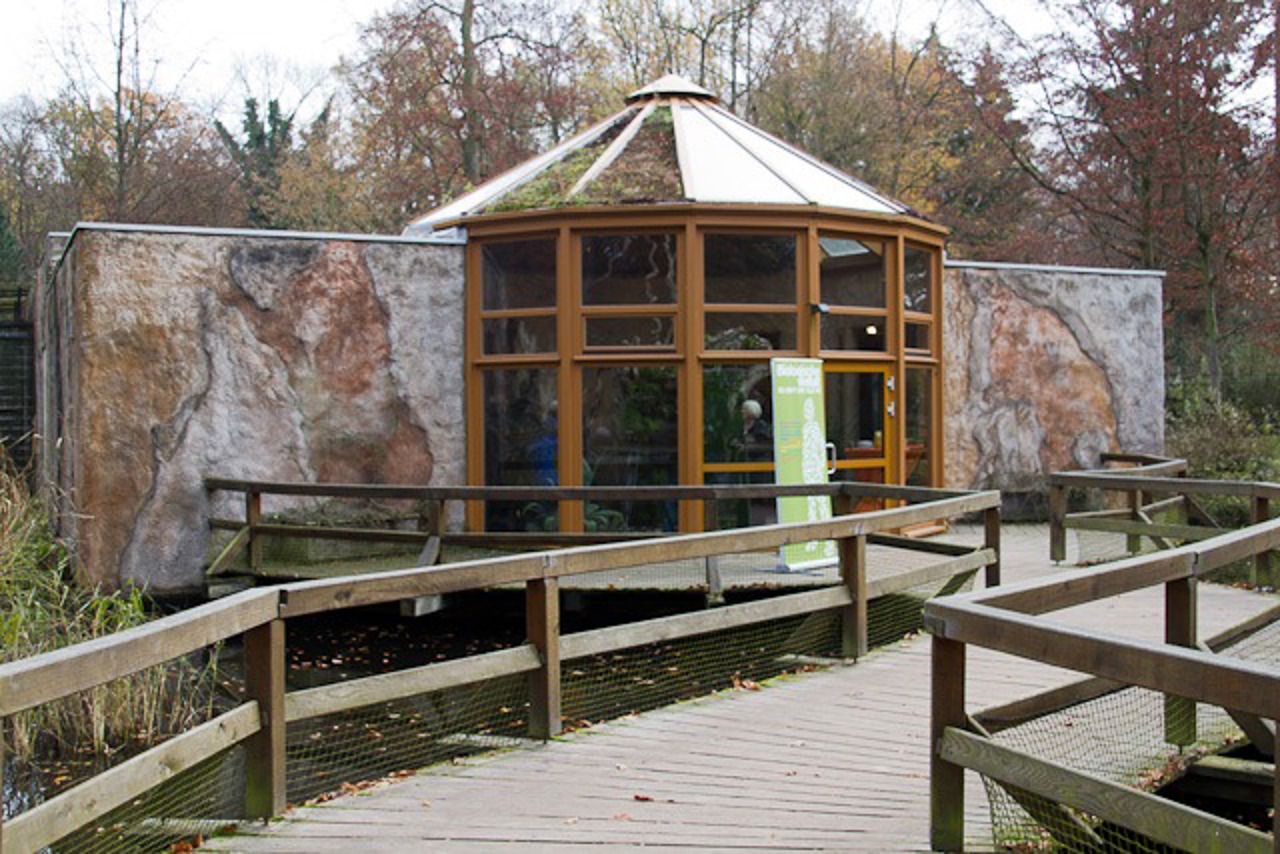 Das Altweltaffenhaus im Zoo Rostock