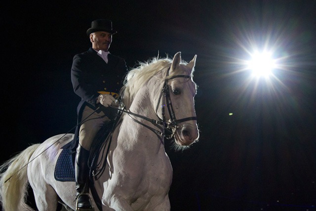 Alojz Lah mit seinem Lipizzaner