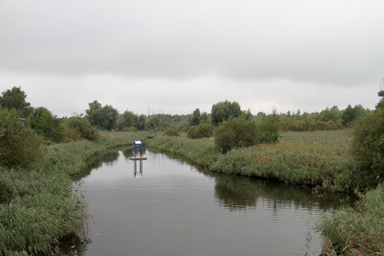 Naturraum in IGA-Park