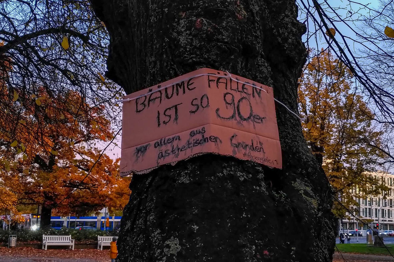 Rosengarten Rostock - Protest gegen geplante Baumfällungen