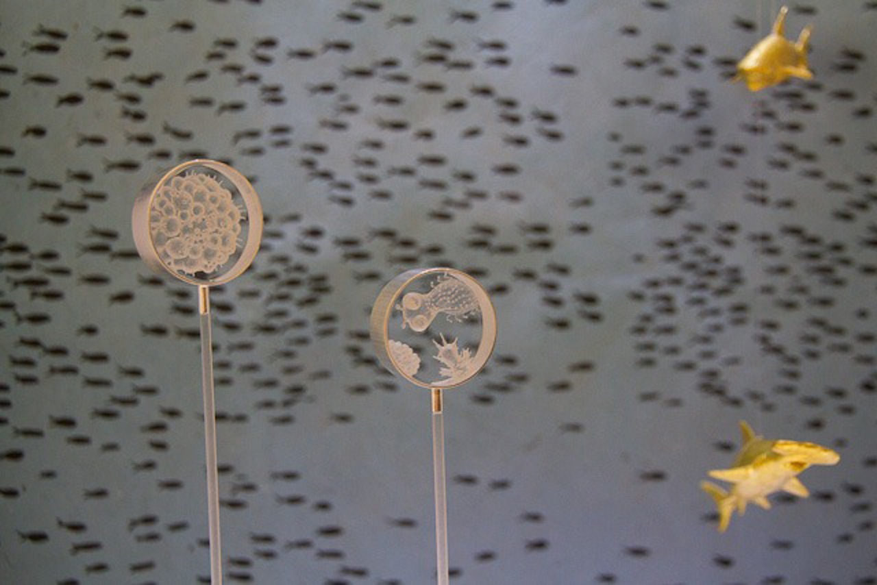 aus "aquarium" von Anna Silberstein